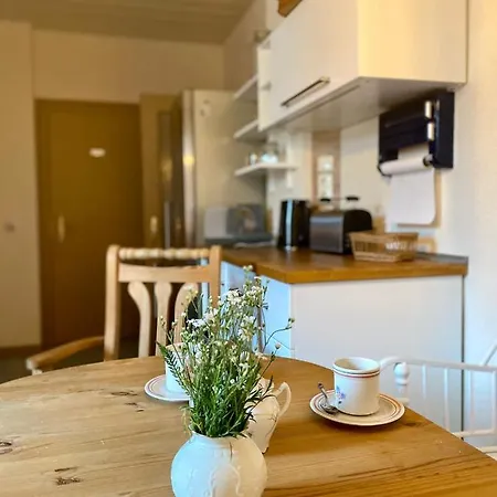 Ferienwohnung Schmidtalien Dommitzsch Exterior foto